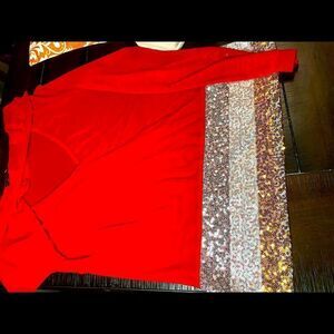 Sequin Mesh V-Neck Long Sleeve Top